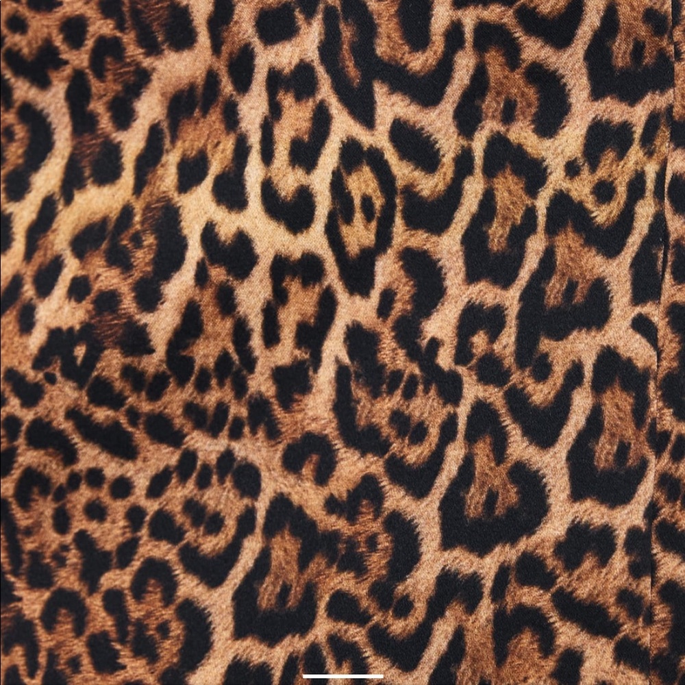 Zara Leopard Print Dress - NWT - Picture 5 of 5